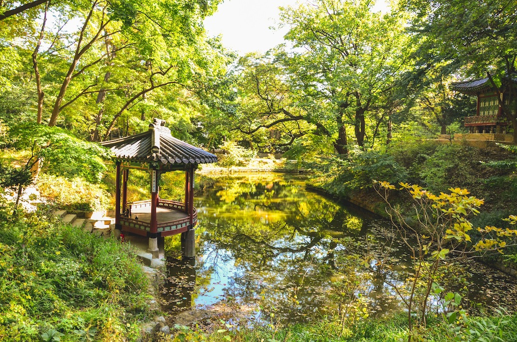 Would it be nice to read a book here ?